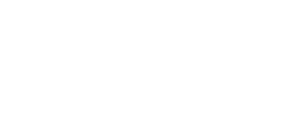 Duronto Logo